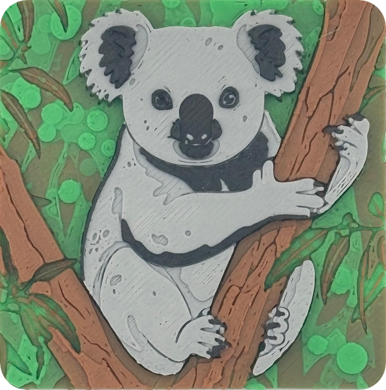 Koala