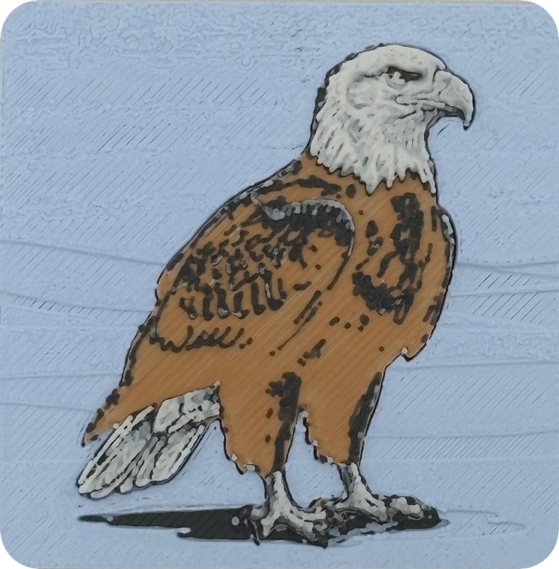 Weißkopfseeadler